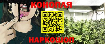 гидра Жуковский