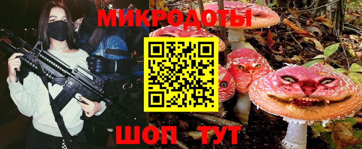 Галлюциногенные грибы Cubensis Кулебаки