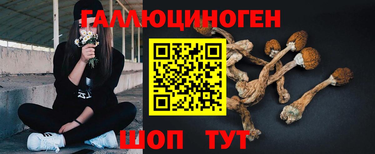 Кулебаки  Псилоцибиновые грибы Cubensis  Вход с VPN  наркота  Псилоцибиновые грибы GOLDEN TEACHER 